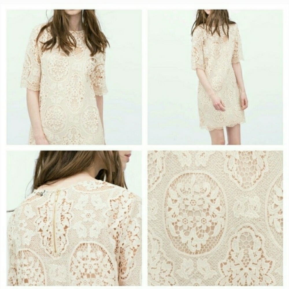 Zara Nude Pink Lace Dress - Picture 6 of 14